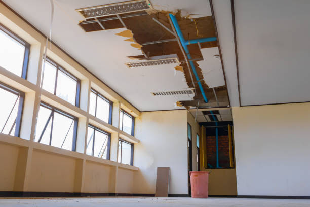 Best Ceiling water damage repair  in Radford, VA
