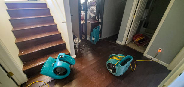 Best Flood restoration services  in Radford, VA