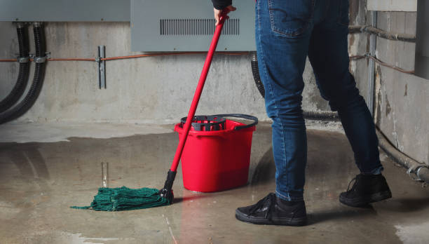 Best Sewage cleanup and water damage restoration  in Radford, VA