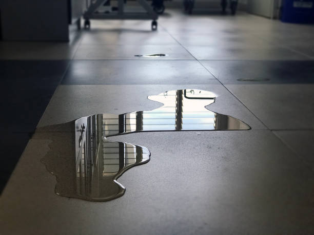 Best Water damage restoration near me  in Radford, VA