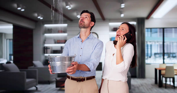 Best Carpet water damage restoration  in Radford, VA