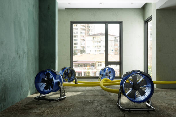 Best Ceiling water damage repair  in Radford, VA